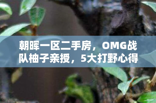 朝晖一区二手房,OMG战队柚子亲授,5大打野心得+避坑指南,助你野区称王! 朝晖一区二手房,OMG战队柚子亲授,5大打野心得+避坑指南,助你野区称王!