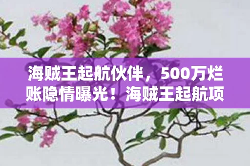 海贼王起航伙伴，500万烂账隐情曝光！海贼王起航项目被毙内幕，老兵拍桌，这数吓死人！