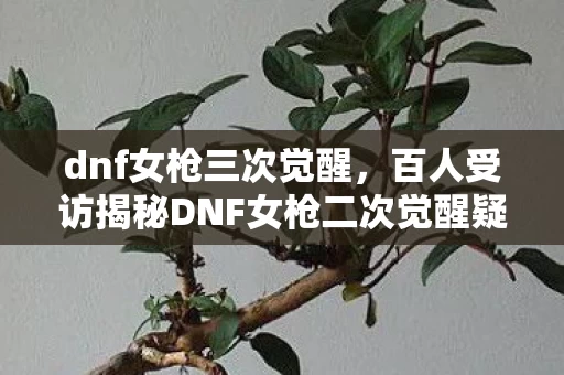 dnf女枪三次觉醒,百人受访揭秘DNF女枪二次觉醒疑点,老炮,这波我直接绷不住! dnf女枪三次觉醒,百人受访揭秘DNF女枪二次觉醒疑点,老炮,这波我直接绷不住!