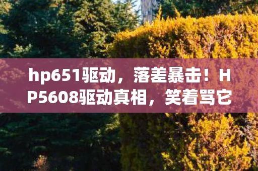 hp651驱动,落差暴击!HP5608驱动真相,笑着骂它垃圾,笑着笑着就哭了 hp651驱动,落差暴击!HP5608驱动真相,笑着骂它垃圾,笑着笑着就哭了