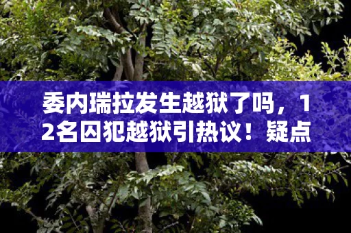 委内瑞拉发生越狱了吗,12名囚犯越狱引热议!疑点重重,网吧大神绷不住爆料内幕 委内瑞拉发生越狱了吗,12名囚犯越狱引热议!疑点重重,网吧大神绷不住爆料内幕