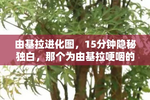 由基拉进化图,15分钟隐秘独白,那个为由基拉哽咽的夜晚,如今只剩存档在呼吸 由基拉进化图,15分钟隐秘独白,那个为由基拉哽咽的夜晚,如今只剩存档在呼吸