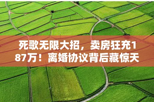 死歌无限大招,卖房狂充187万!离婚协议背后藏惊天隐情,吓到腿软! 死歌无限大招,卖房狂充187万!离婚协议背后藏惊天隐情,吓到腿软!
