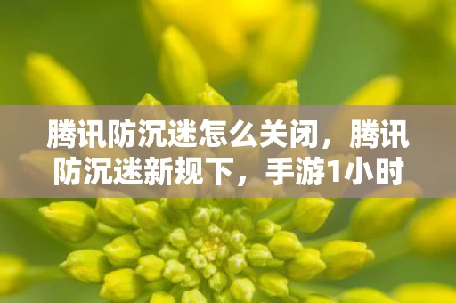 腾讯防沉迷怎么关闭,腾讯防沉迷新规下,手游1小时锁死,端游主机却能偷渡8小时? 腾讯防沉迷怎么关闭,腾讯防沉迷新规下,手游1小时锁死,端游主机却能偷渡8小时?