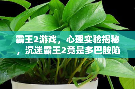 霸王2游戏,心理实验揭秘,沉迷霸王2竟是多巴胺陷阱?细思极恐! 霸王2游戏,心理实验揭秘,沉迷霸王2竟是多巴胺陷阱?细思极恐!