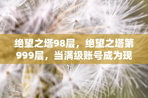 绝望之塔98层,绝望之塔第999层,当满级账号成为现实废墟的墓志铭 绝望之塔98层,绝望之塔第999层,当满级账号成为现实废墟的墓志铭