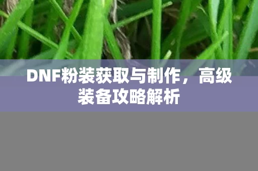 DNF粉装获取与制作图片