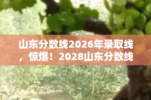 山东分数线2026年录取线,惊爆!2028山东分数线飙升?考生亲述,这分数卷得我怀疑人生! 山东分数线2026年录取线,惊爆!2028山东分数线飙升?考生亲述,这分数卷得我怀疑人生!