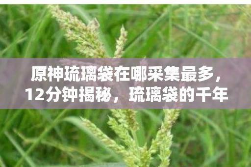 原神琉璃袋在哪采集最多,12分钟揭秘,琉璃袋的千年谜踪,泪目!原神世界的隐秘守护者 原神琉璃袋在哪采集最多,12分钟揭秘,琉璃袋的千年谜踪,泪目!原神世界的隐秘守护者