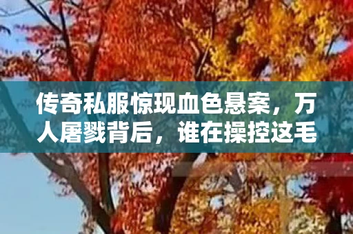 传奇私服惊现血色悬案,万人屠戮背后,谁在操控这毛骨悚然轮回? 传奇私服惊现血色悬案,万人屠戮背后,谁在操控这毛骨悚然轮回?