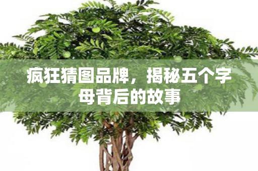 揭秘五个字母背后的故事图片