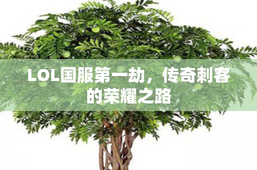 传奇刺客的荣耀之路图片