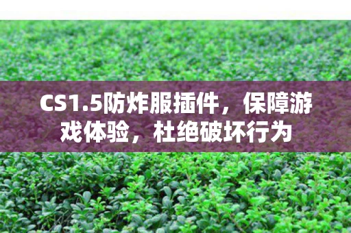 5防炸服插件图片