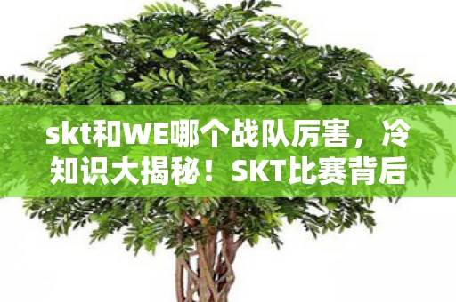 skt和WE哪个战队厉害,冷知识大揭秘!SKT比赛背后颠覆认知的设计,让你目瞪口呆! skt和WE哪个战队厉害,冷知识大揭秘!SKT比赛背后颠覆认知的设计,让你目瞪口呆!
