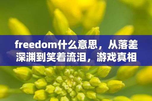 freedom什么意思，从落差深渊到笑着流泪，游戏真相揭露，骂完为何又默默回归？