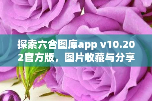 探索六合图库app v10图片