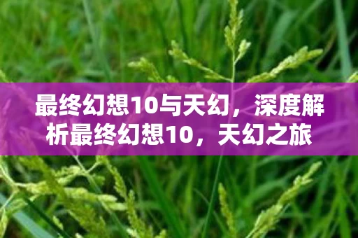 深度解析最终幻想10图片