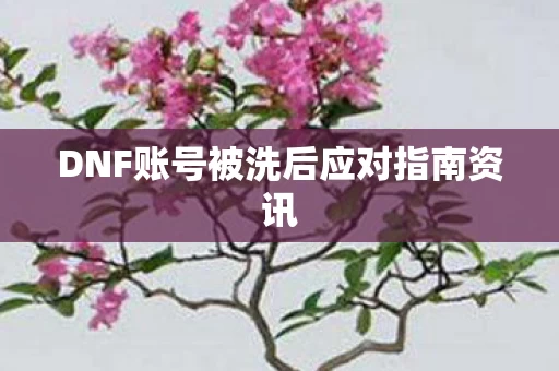 DNF账号被洗后应对指南资讯图片