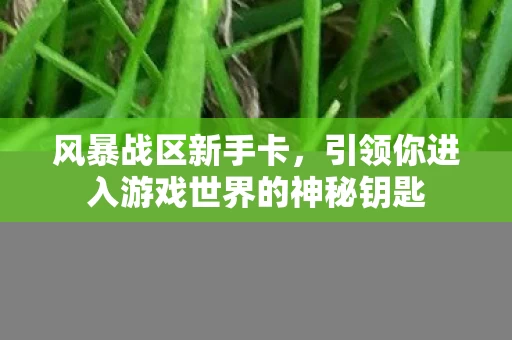 引领你进入游戏世界的神秘钥匙图片