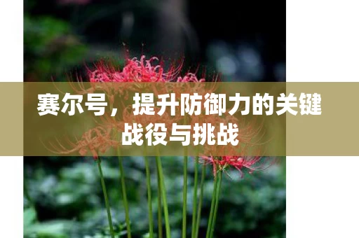 提升防御力的关键战役与挑战图片