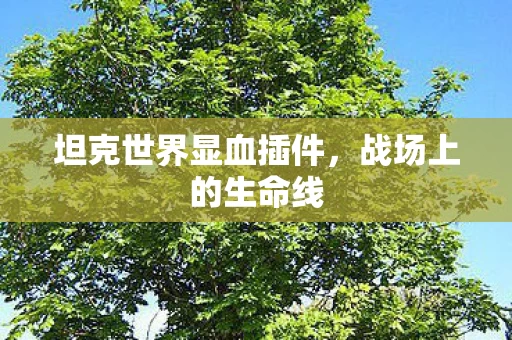 坦克世界显血插件图片