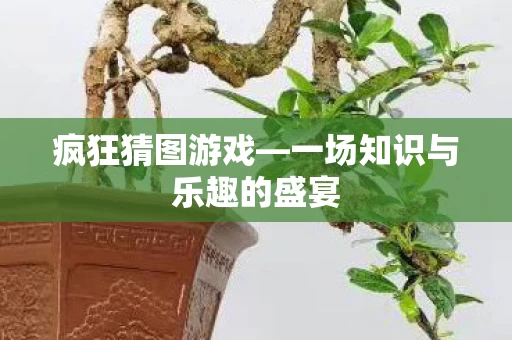 一场知识与乐趣的盛宴图片