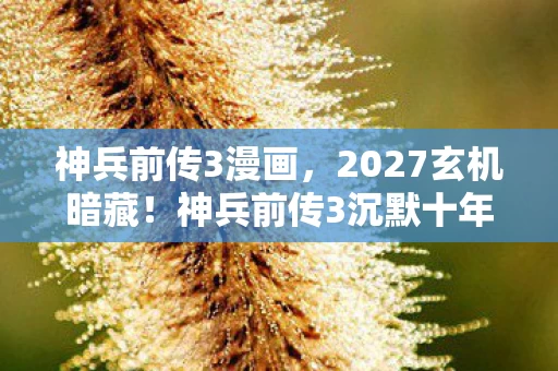 神兵前传3漫画，2027玄机暗藏！神兵前传3沉默十年后，究竟给了我什么？