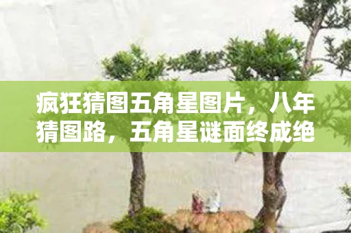 疯狂猜图五角星图片,八年猜图路,五角星谜面终成绝响,泪目见证游戏落幕! 疯狂猜图五角星图片,八年猜图路,五角星谜面终成绝响,泪目见证游戏落幕!