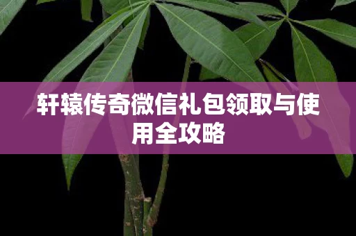 轩辕传奇微信礼包领取与使用全攻略图片