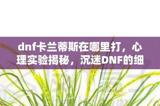 dnf卡兰蒂斯在哪里打,心理实验揭秘,沉迷DNF的细思极恐,我竟成了自我麻醉的试验品 dnf卡兰蒂斯在哪里打,心理实验揭秘,沉迷DNF的细思极恐,我竟成了自我麻醉的试验品