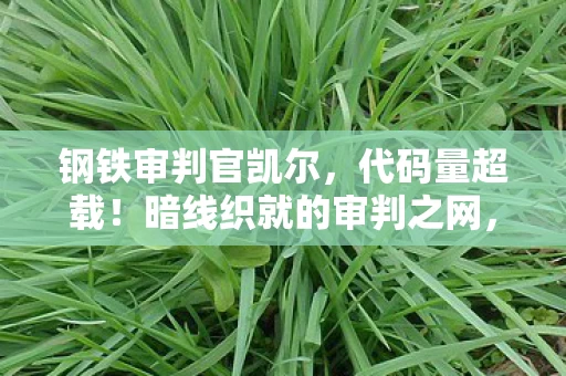 钢铁审判官凯尔,代码量超载!暗线织就的审判之网,让玩家头皮发麻的赛博法庭 钢铁审判官凯尔,代码量超载!暗线织就的审判之网,让玩家头皮发麻的赛博法庭