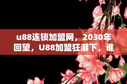 u88连锁加盟网，2030年回望，U88加盟狂潮下，谁在收割时代的暴利密码？