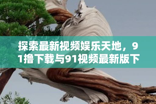 91撸下载与91视频最新版下载图片