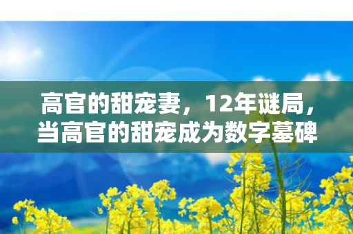 高官的甜宠妻,12年谜局,当高官的甜宠成为数字墓碑,千万玩家泪目真相 高官的甜宠妻,12年谜局,当高官的甜宠成为数字墓碑,千万玩家泪目真相