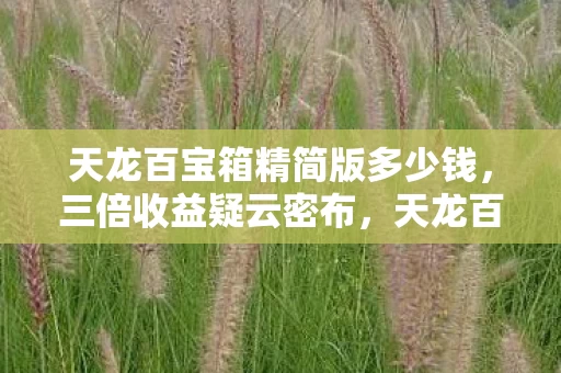 天龙百宝箱精简版多少钱，三倍收益疑云密布，天龙百宝箱精简版背后竟让玩家集体心寒？