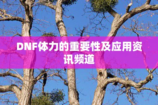 DNF体力的重要性及应用资讯频道图片