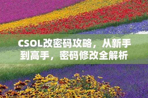 CSOL改密码攻略图片
