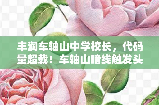 丰润车轴山中学校长，代码量超载！车轴山暗线触发头皮发麻级数据坍缩