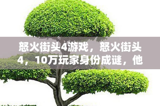 怒火街头4游戏,怒火街头4,10万玩家身份成谜,他们的心酸谁懂? 怒火街头4游戏,怒火街头4,10万玩家身份成谜,他们的心酸谁懂?