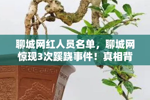 聊城网红人员名单，聊城网惊现3次蹊跷事件！真相背后，竟让人后背发凉到无法呼吸