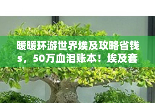 暖暖环游世界埃及攻略省钱s，50万血泪账本！埃及套背后藏离婚协议，老婆签字那刻我腿软了！