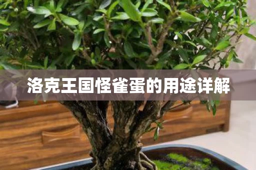 洛克王国怪雀蛋的用途详解图片