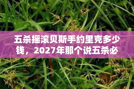 五杀摇滚贝斯手约里克多少钱，2027年那个说五杀必回的贝斯手，伏笔里藏着鼻子一酸的青春