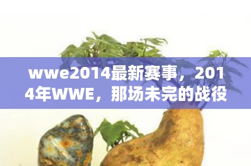 wwe2014最新赛事，2014年WWE，那场未完的战役，伏笔深埋，鼻子一酸忆旧颜