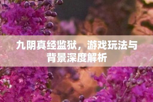 游戏玩法与背景深度解析图片