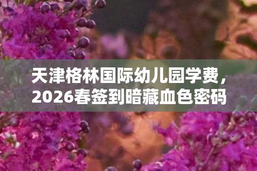 天津格林国际幼儿园学费,2026春签到暗藏血色密码?消失的玩家与永不闭合的死亡循环 天津格林国际幼儿园学费,2026春签到暗藏血色密码?消失的玩家与永不闭合的死亡循环