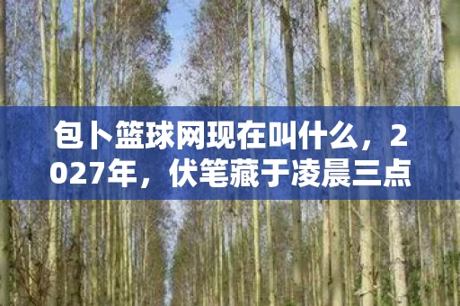 包卜篮球网现在叫什么，2027年，伏笔藏于凌晨三点，那些等你的聊天记录让我鼻子一酸