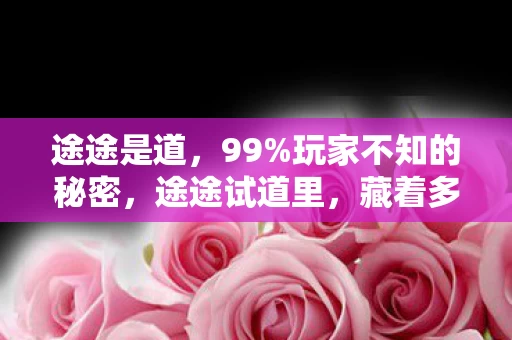 途途是道，99%玩家不知的秘密，途途试道里，藏着多少人的血泪与狂欢？