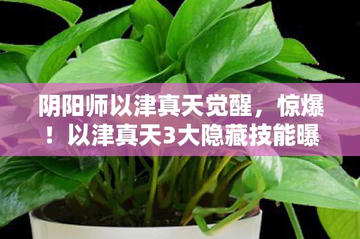 阴阳师以津真天觉醒，惊爆！以津真天3大隐藏技能曝光，99%玩家竟不知其恐怖实力？
