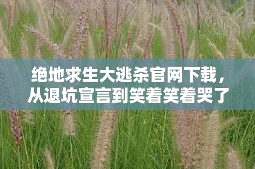 绝地求生大逃杀官网下载,从退坑宣言到笑着笑着哭了,落差真相下,谁在2027年自欺欺人? 绝地求生大逃杀官网下载,从退坑宣言到笑着笑着哭了,落差真相下,谁在2027年自欺欺人?
